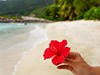DoubleTree By Hilton Seychelles - Allamanda Resort & Spa #5